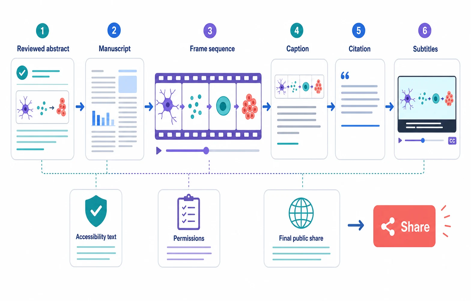 A publication review workflow for an animated graphical abstract with captions, citations, accessibility, and permissions