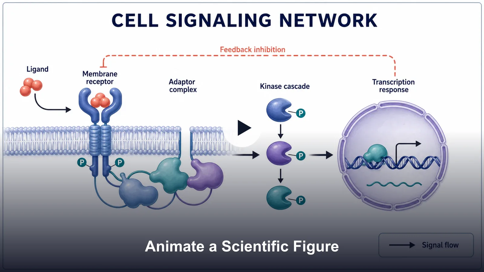 Scientific Figure Animator