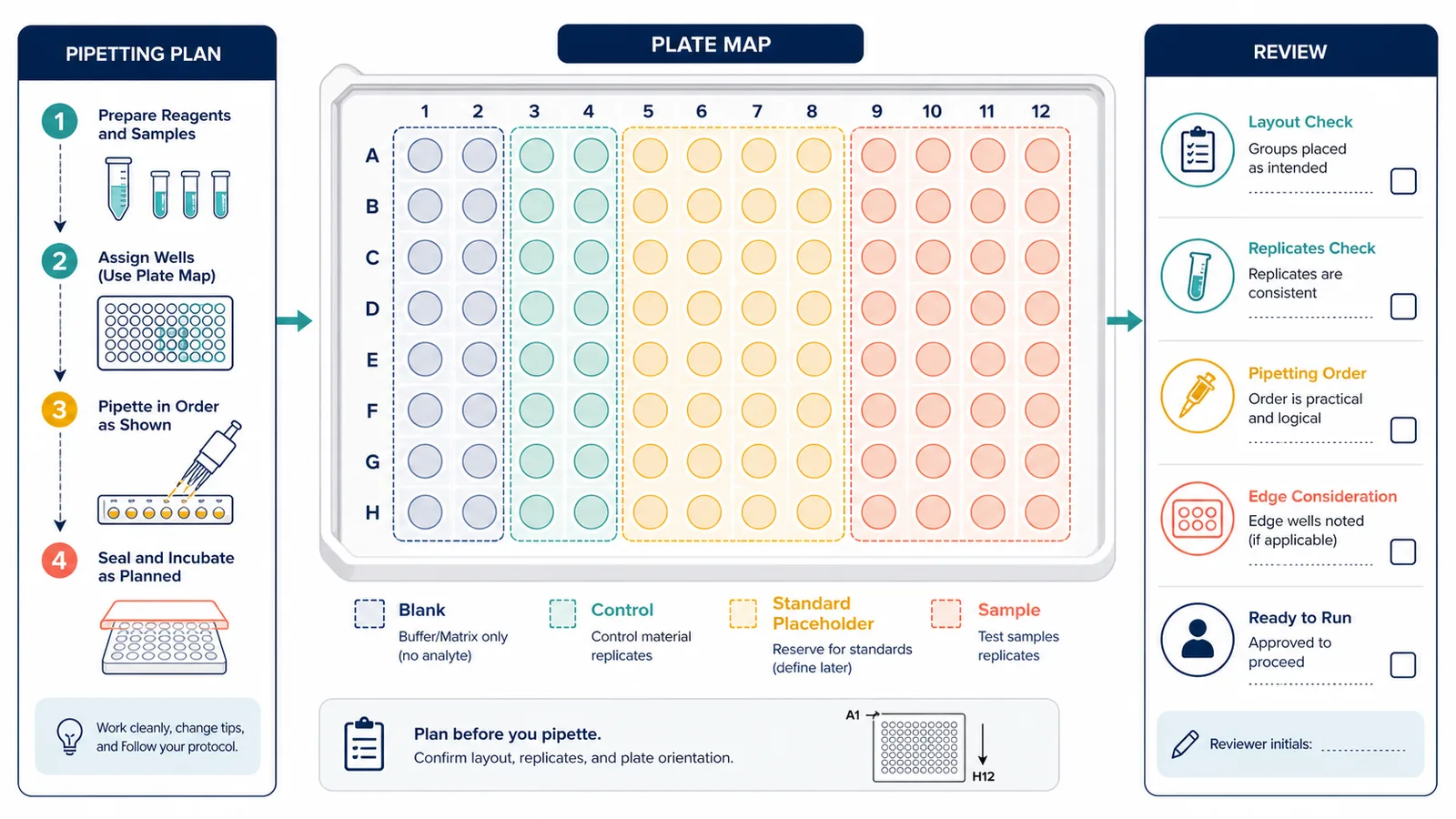 ELISA-Plattenlayout-Planungsdiagramm mit Leer-, Kontroll-, Standard-Platzhalter-, Proben-, Plattenplan- und Überprüfungsetiketten