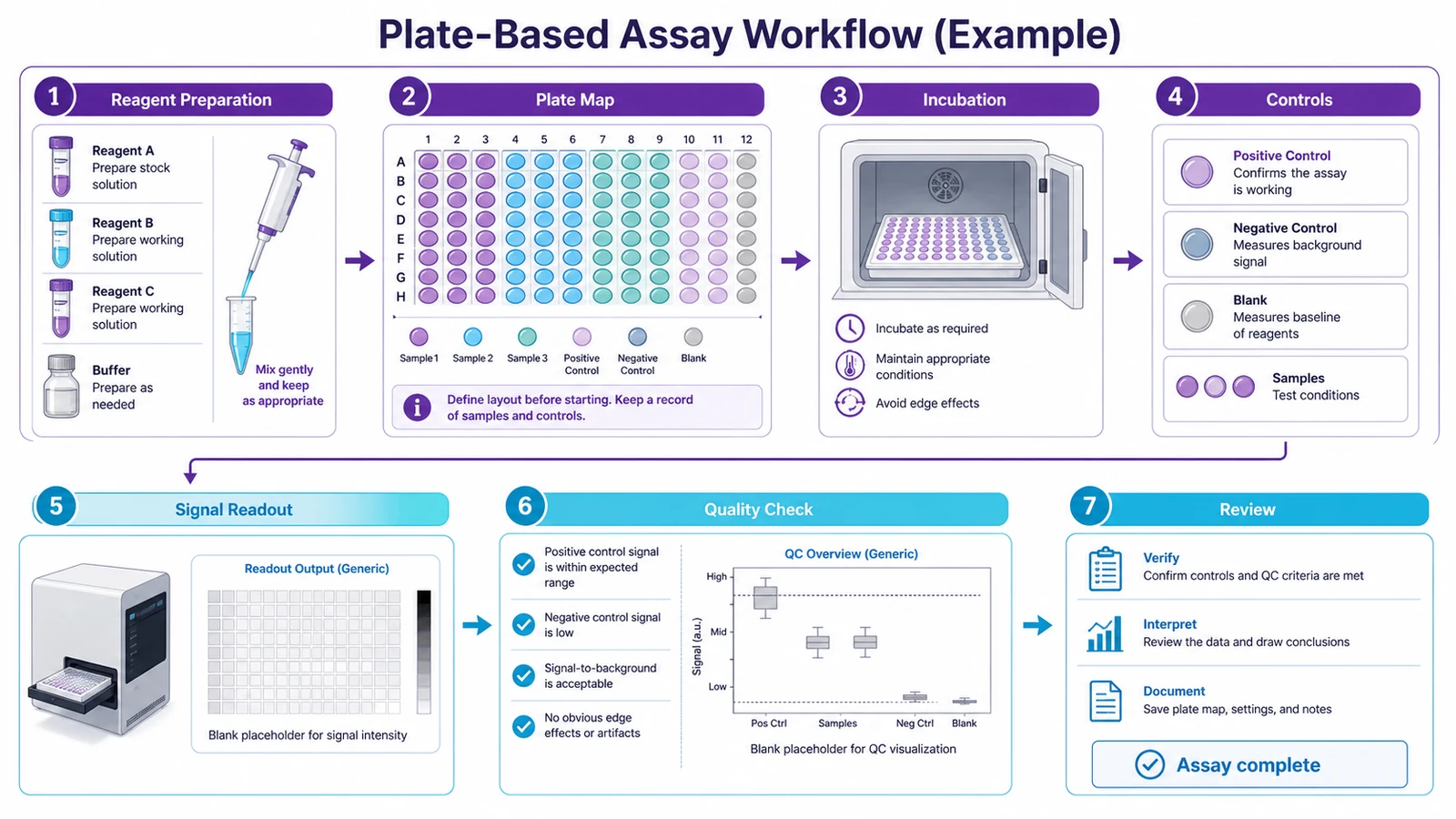 Plattenassay-Workflow mit Reagenzienvorbereitung, Plattenlayout, Inkubation, Auslesung und englischen Beschriftungen