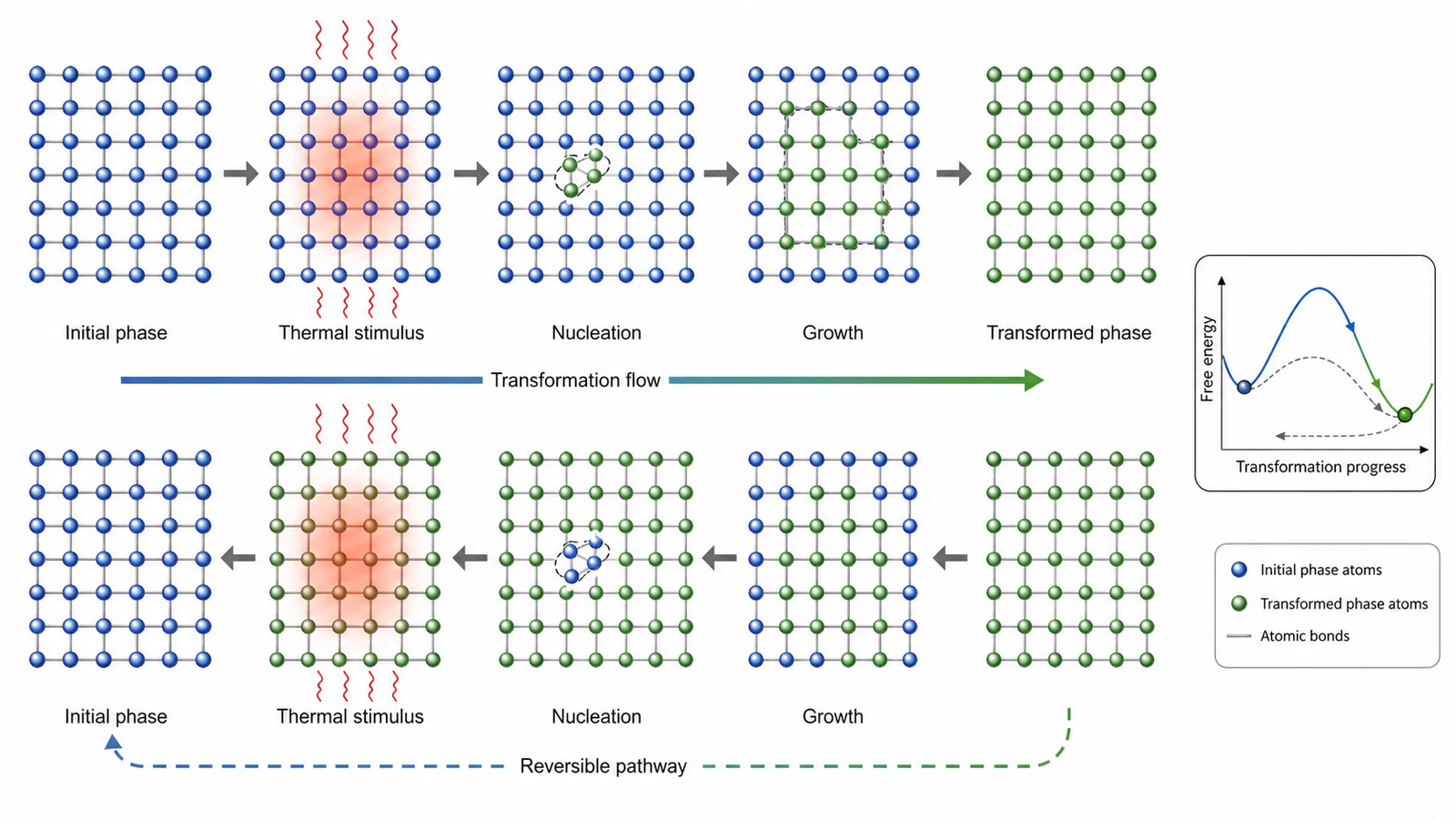 Phasentransformationsmechanismus mit englischen Bezeichnungen für Anfangsphase, thermischer Reiz, Keimbildung, Wachstum, transformierte Phase und reversibler Weg