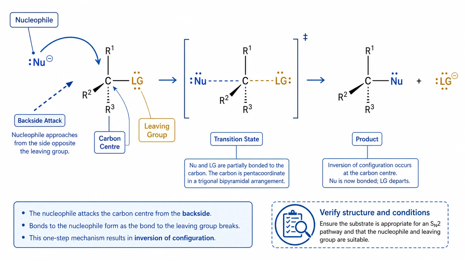 Concepto genérico de mecanismo de sustitución SN2 con nucleófilo, electrófilo, grupo saliente, flecha electrónica curva, concepto de estado de transición y etiquetas en inglés