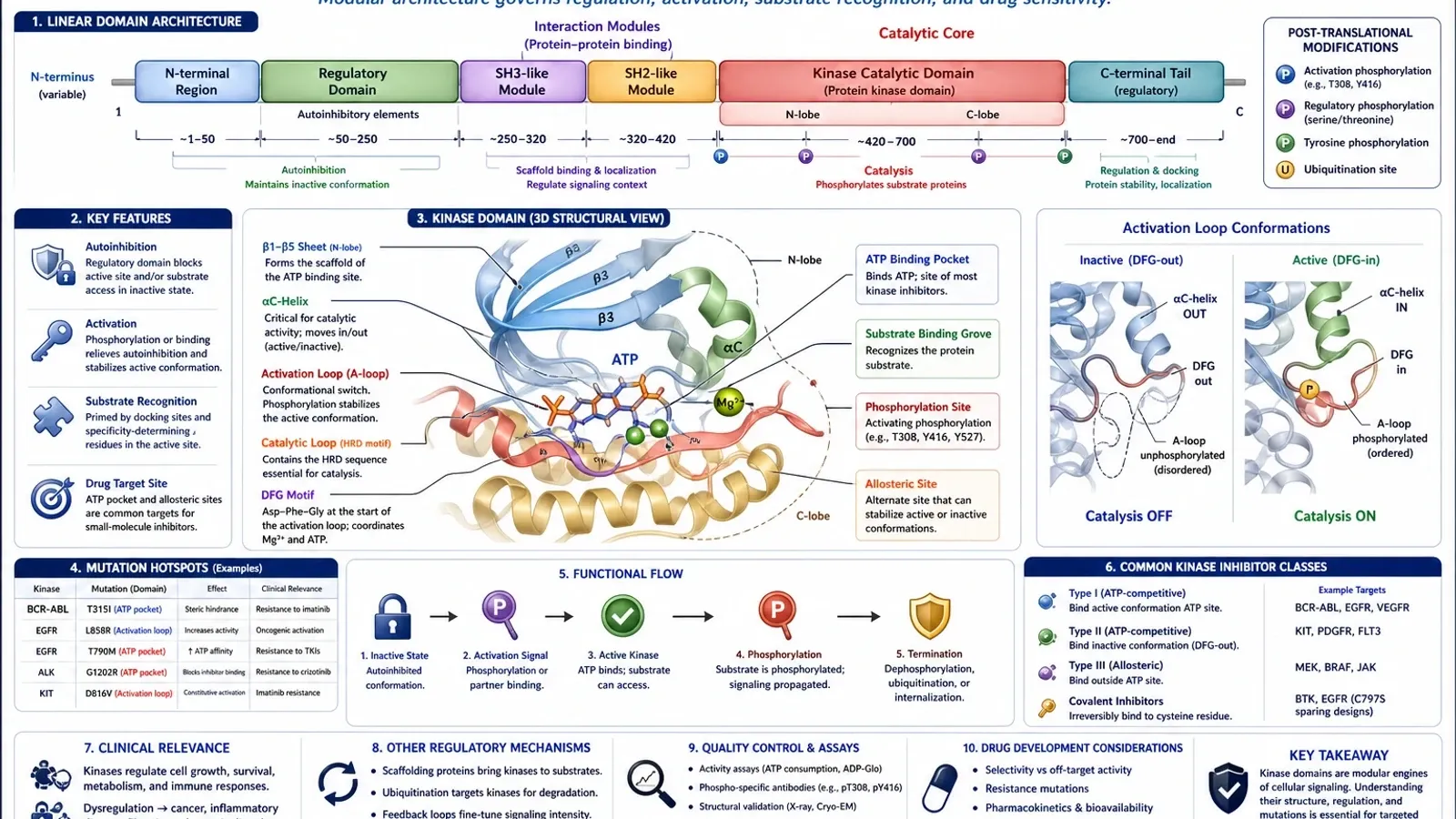 Multi-Omics-Studiendesign, wissenschaftlicher Abbildungsentwurf
