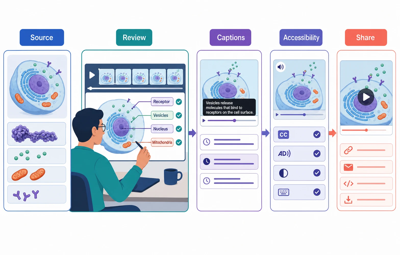 A responsible scientific animation review workflow from source and review to captions and sharing