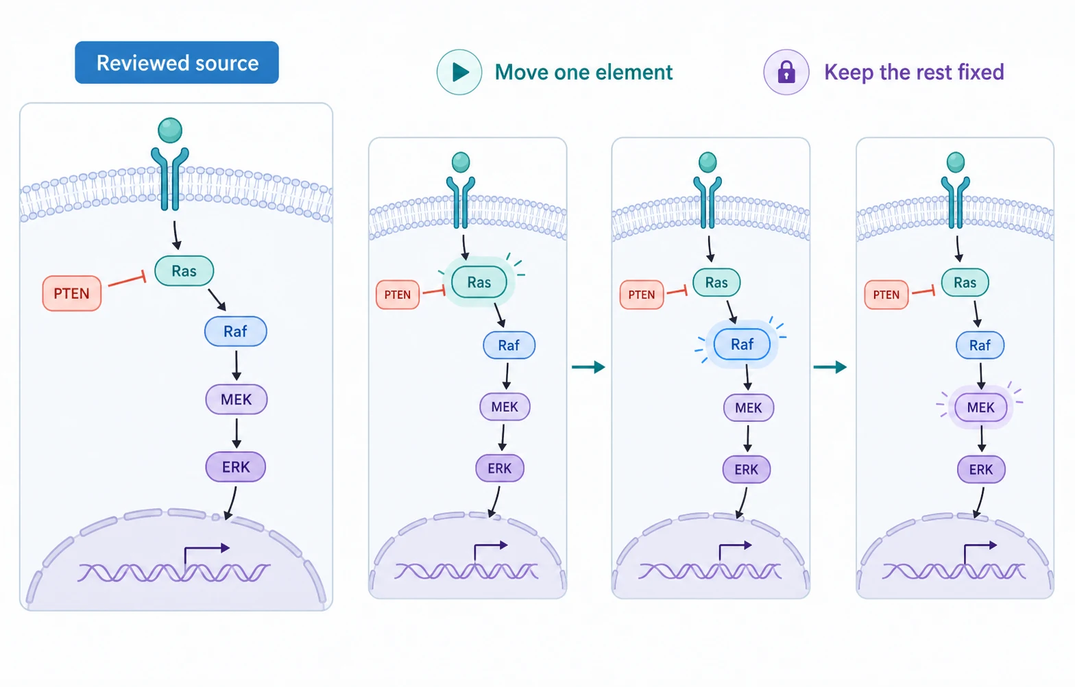 A reviewed scientific figure with one highlighted element moving while the rest stays fixed
