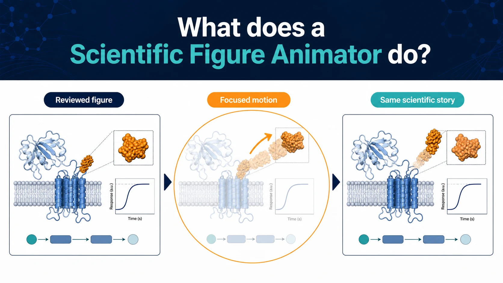 A scientific figure animator guiding focused motion while preserving the reviewed scientific story