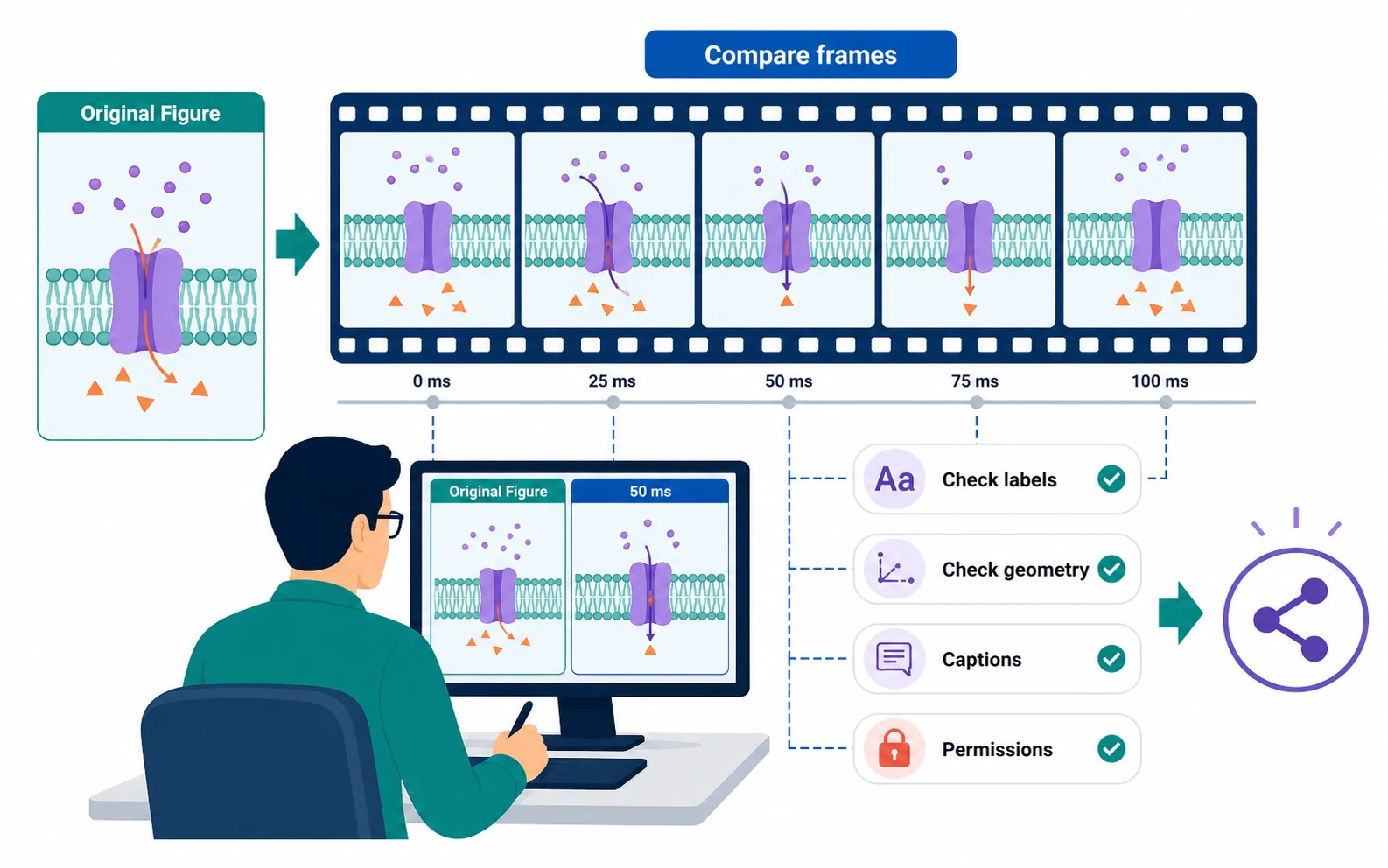 A scientific figure animation review workflow comparing frames, labels, geometry, captions, and permissions